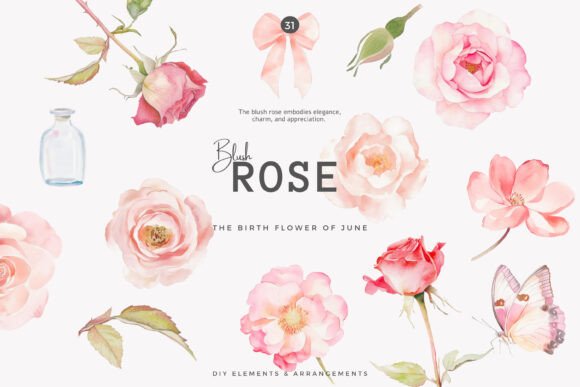 Download Watercolor Clipart Birth Month Flower - Month flower Collection