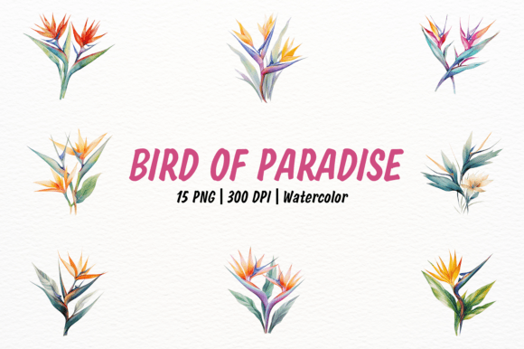 Download Exotic Watercolor Bird of Paradise - Exotic Collection