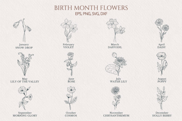 Download Hand Drawn Birth Month Flower Collection - Month flower Collection