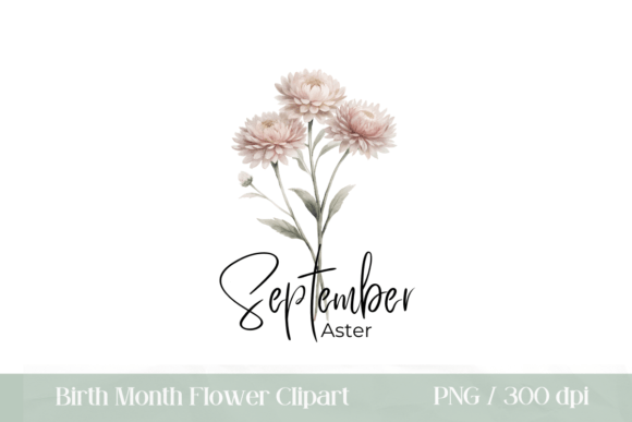 Download Birth Month Flower September Aster PNG - Month flower Collection