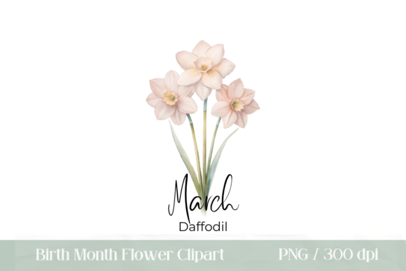 Download Birth Month Flower March Daffodil PNG - Month flower Collection